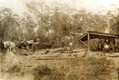 Blissett timber mill on corner Cardinal Ave and Pennant Hills Road